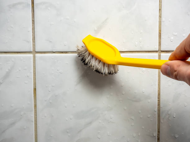  Garnet, CA Mold Removal Pros