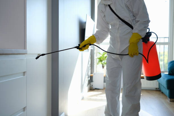 Best Attic Mold Removal  in Garnet, CA