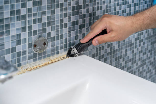 Best Mold Damage Repair  in Garnet, CA