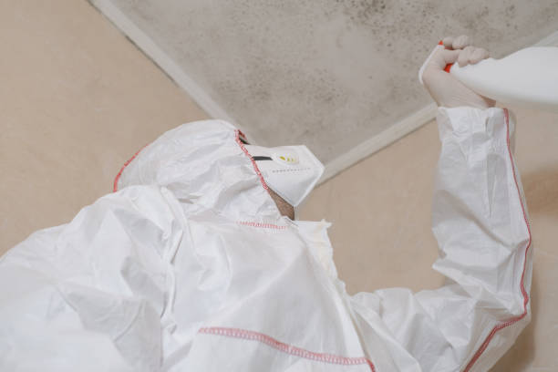 Best Mold Cleaning Services  in Garnet, CA
